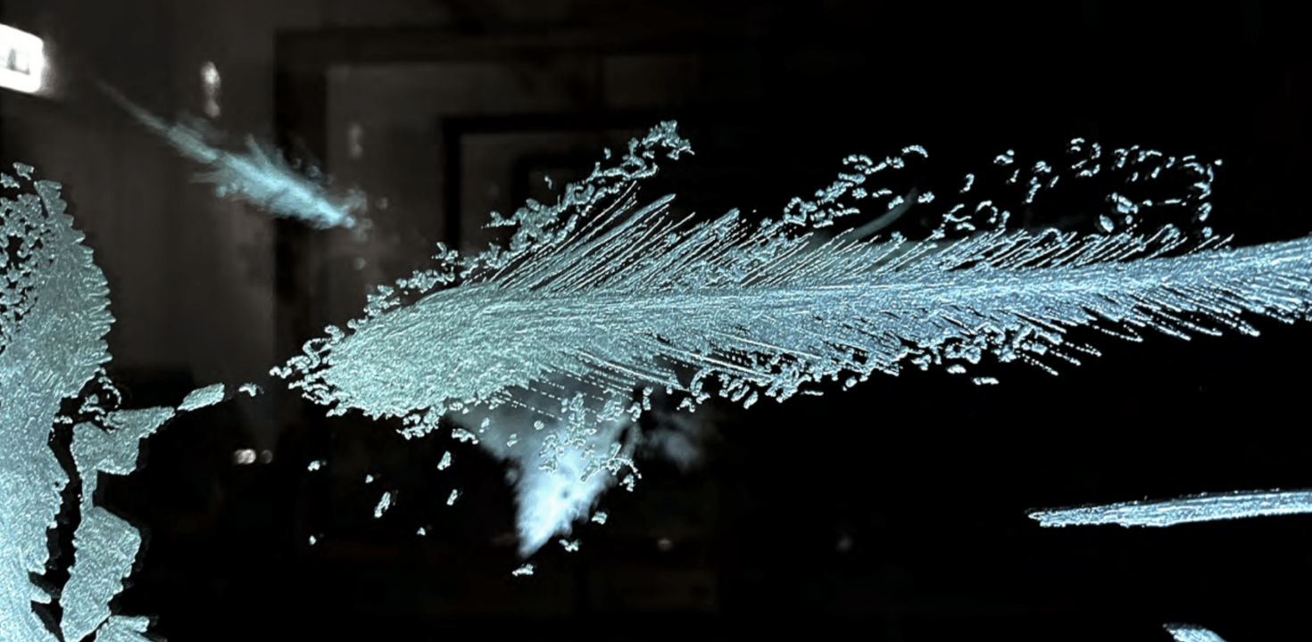 40. Stuttgarter Filmwinter – Festival for Expanded Media