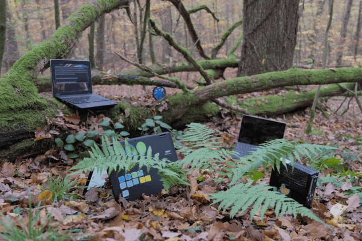 40. Stuttgarter Filmwinter – Festival for Expanded Media