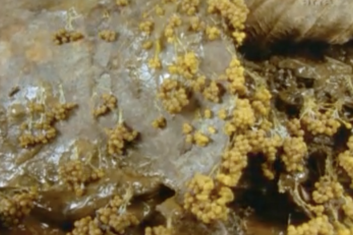40. Stuttgarter Filmwinter – Festival for Expanded Media